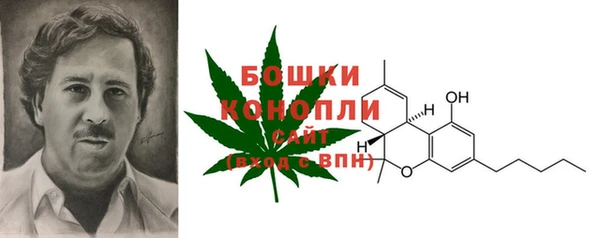 MDMA Козловка