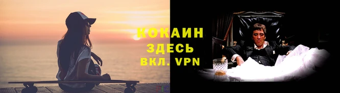 гидропоника Кодинск