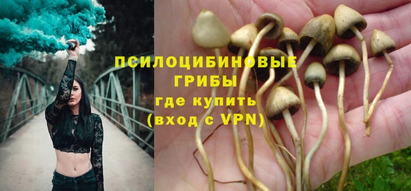 MDMA Козловка